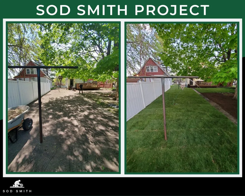 Trusted residential landscaping experts serving Minneapolis, MN - Sod Smith