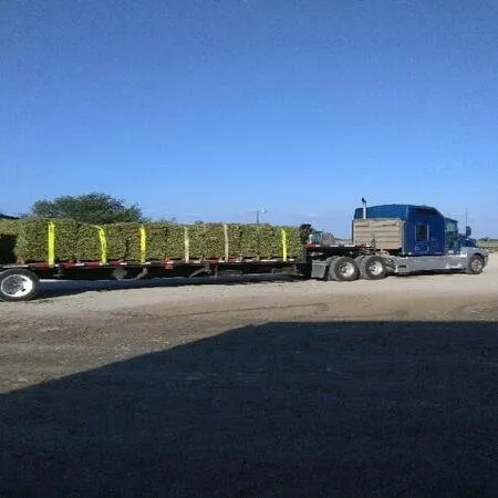 Trusted outdoor landscaping experts serving Corpus Christi, TX - Sod Solutions