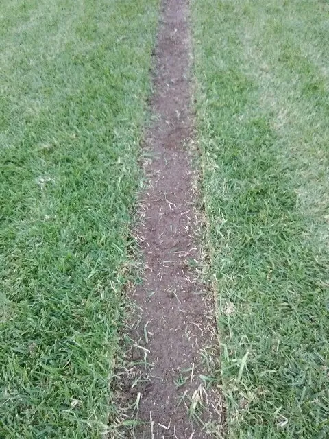 Reliable outdoor landscaping with custom design across Corpus Christi, TX - Sod Solutions