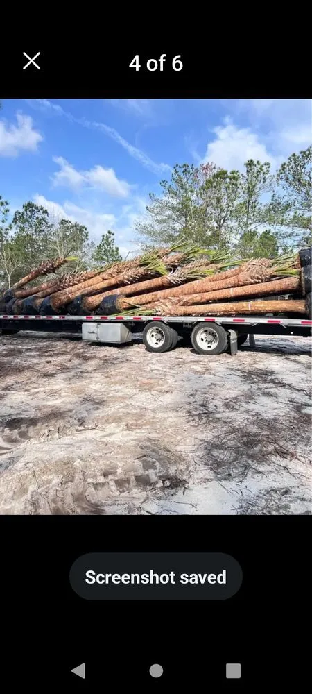 Trusted outdoor landscaping experts serving Gulfport, MS - Sod soluty