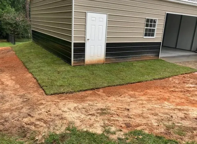 Top-rated yard cleanup service experts serving Gulfport, MS - Sod soluty