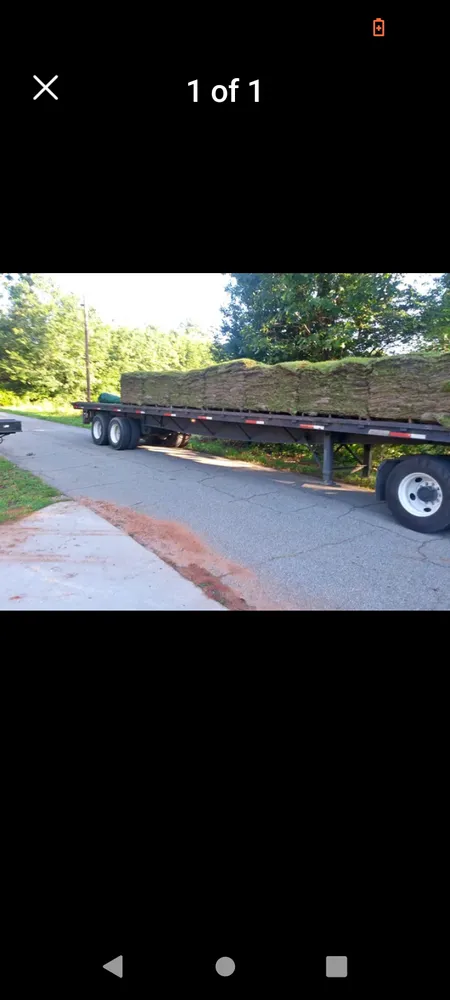 Local landscape design experts serving Gulfport, MS - Sod soluty