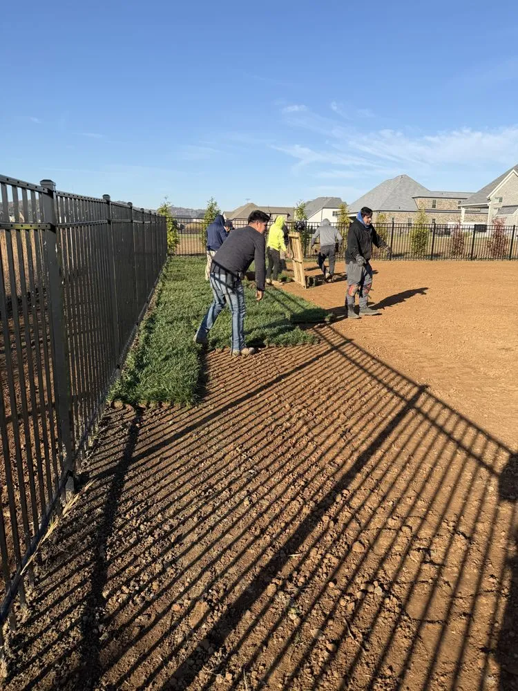 Expert yard maintenance for outdoor upgrades across Brentwood, TN - Sod Source