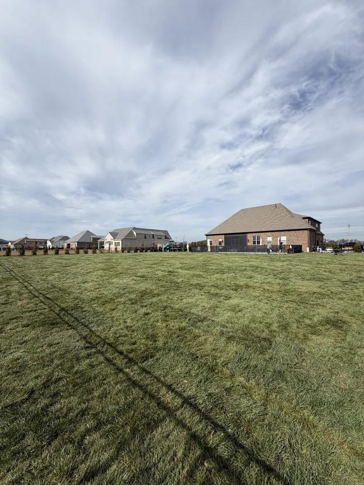 Top-rated landscaping services for year-round maintenance across Brentwood, TN - Sod Source