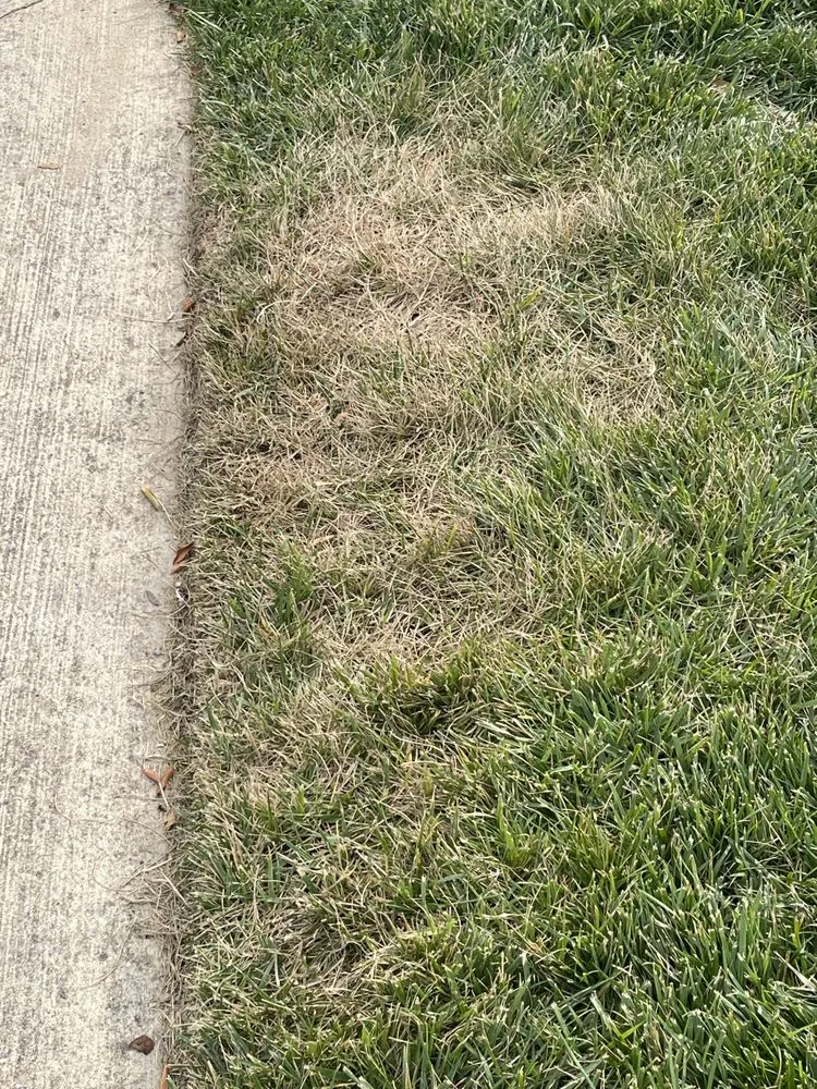 Expert outdoor landscaping in Brentwood, TN - Sod Source