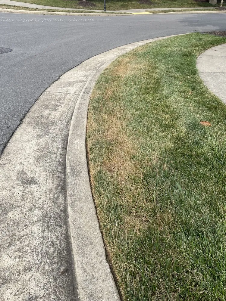 Custom yard maintenance in Brentwood, TN - Sod Source