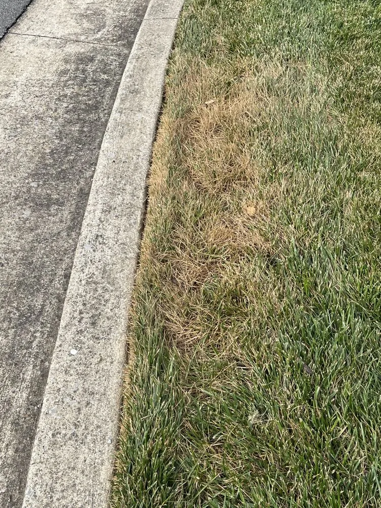 Custom residential landscaping for beautiful yards across Brentwood, TN - Sod Source