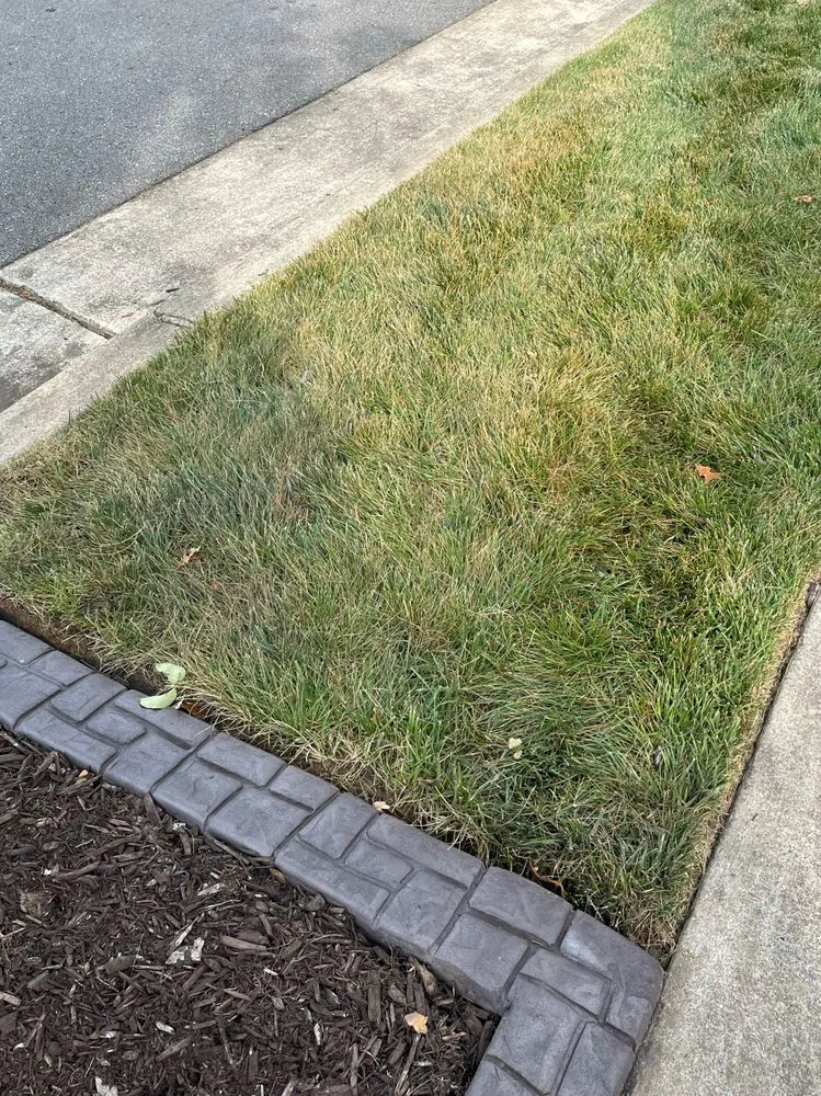 Custom yard maintenance experts serving Brentwood, TN - Sod Source