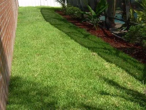 Local landscape design in Orlando, FL by Sod Today