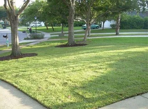 Local landscape design in Orlando, FL - Sod Today
