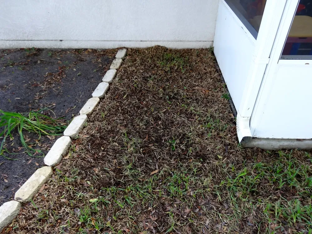 Expert landscaping services with custom design across Valrico, FL - Sod X