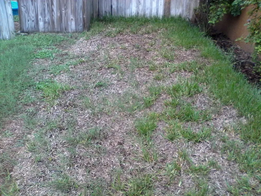 Trusted lawn care service in Valrico, FL - Sod X