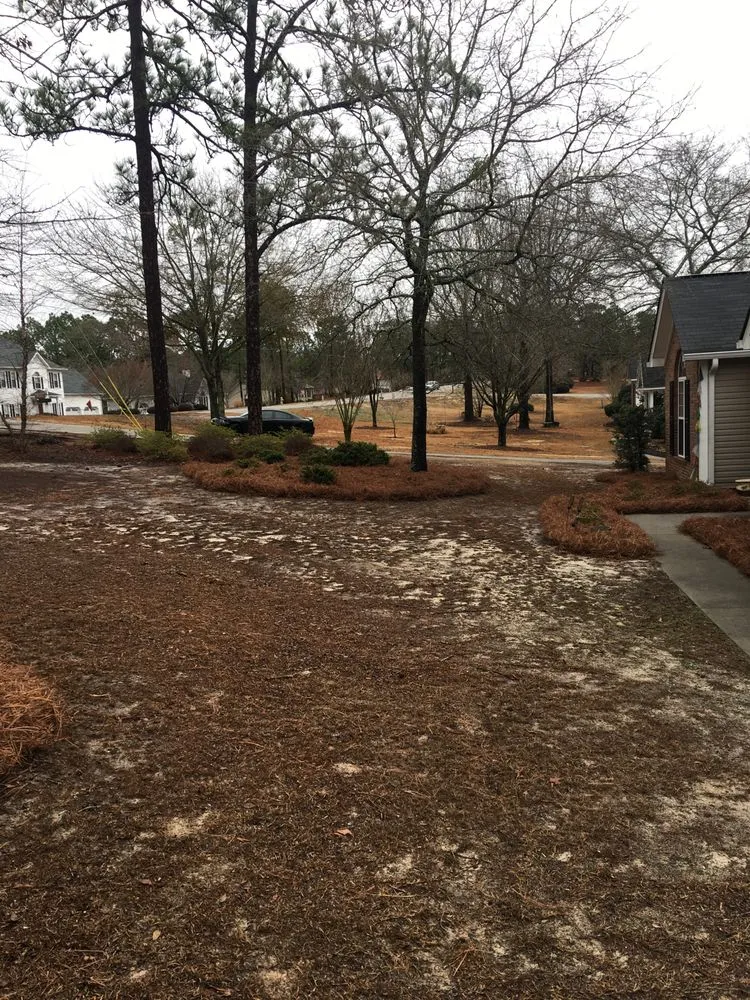 Professional yard cleanup service in Irmo, SC by Soda City Landscaping