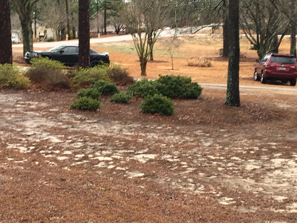 Affordable residential landscaping in Irmo, SC - Soda City Landscaping