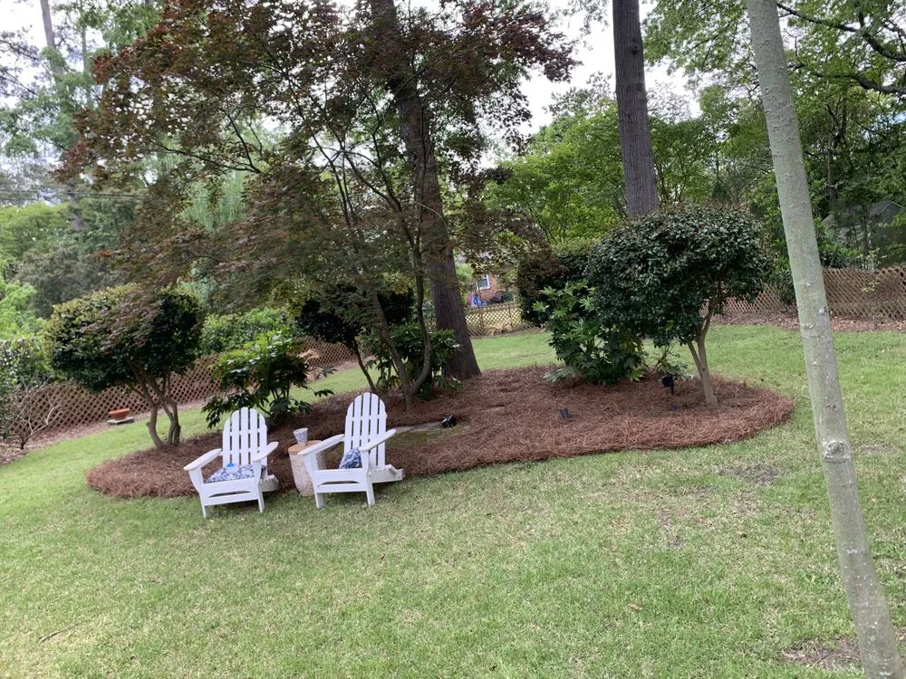 Affordable lawn mowing service experts serving Columbia, SC - Soda City Lawn Care