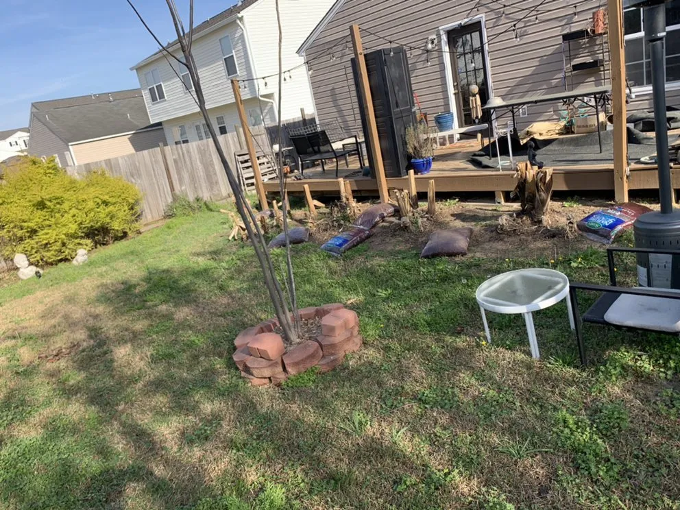 Expert lawn care service in Columbia, SC - Soda City Lawn Care