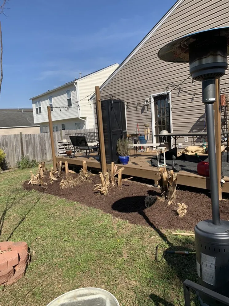 Top-rated yard cleanup service for beautiful yards across Columbia, SC - Soda City Lawn Care