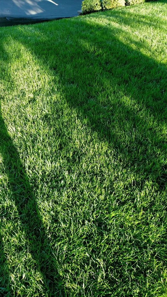 Affordable landscaping services in Saunderstown, RI - Sodco