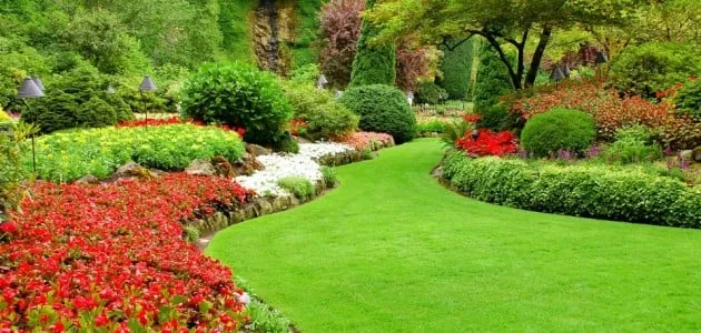 Top-rated garden landscaping for year-round maintenance across Jacksonville, FL - Sodfather's Lawn Care