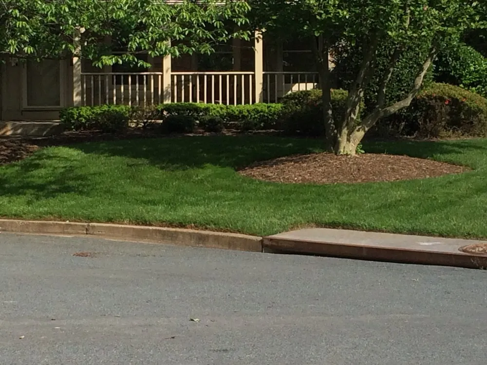 Local landscape installation experts serving Jacksonville, FL - Sodfather's Lawn Care