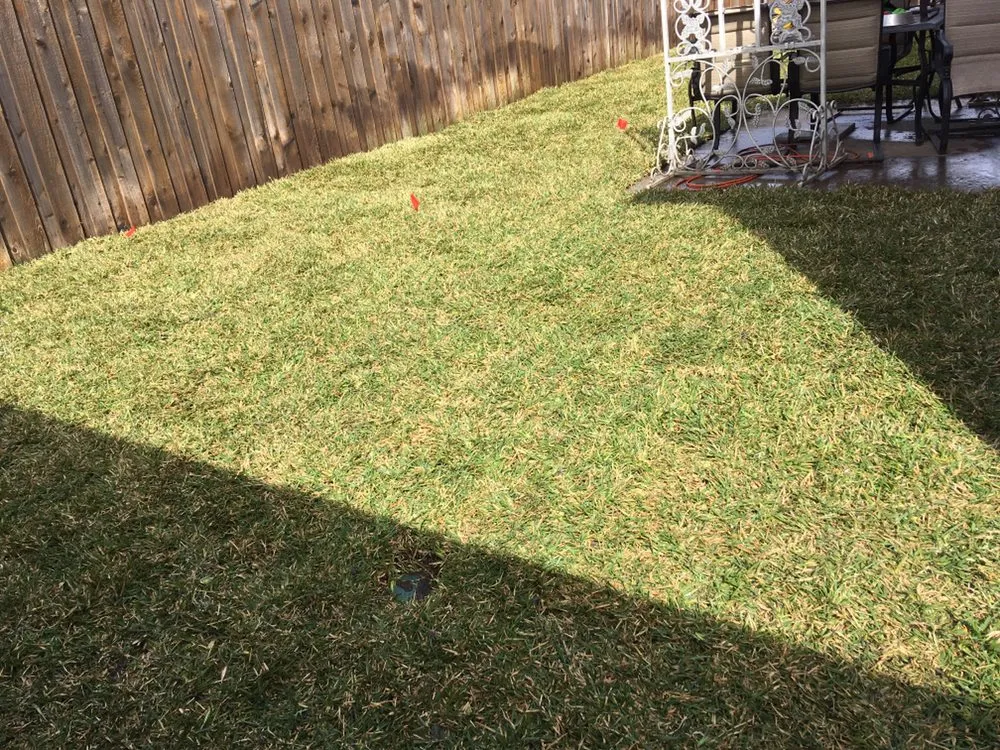 Local landscaping services in Duncanville, TX - SODGREEN - Artificial Grass, Putting Greens, & Pet Turf Pros