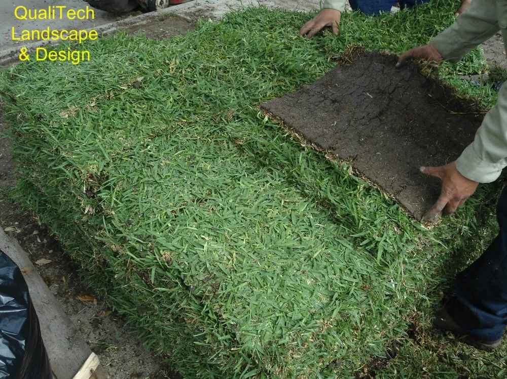 Expert yard maintenance for homes in Duncanville, TX by SODGREEN - Artificial Grass, Putting Greens, & Pet Turf Pros