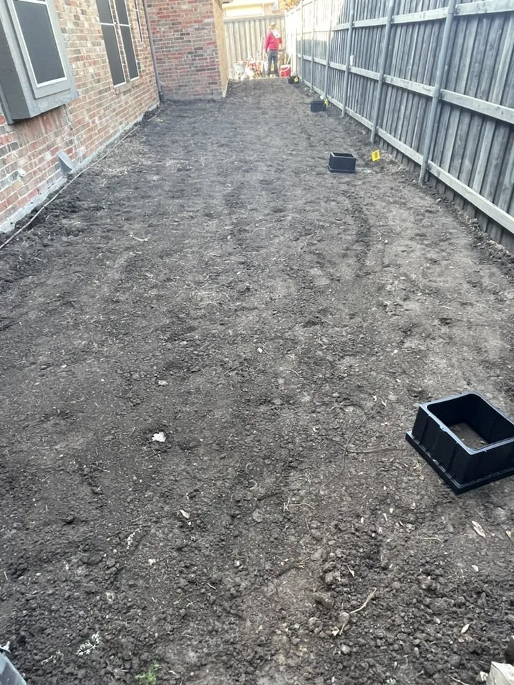 Trusted yard cleanup service near you across Dallas, TX - Sodgreen