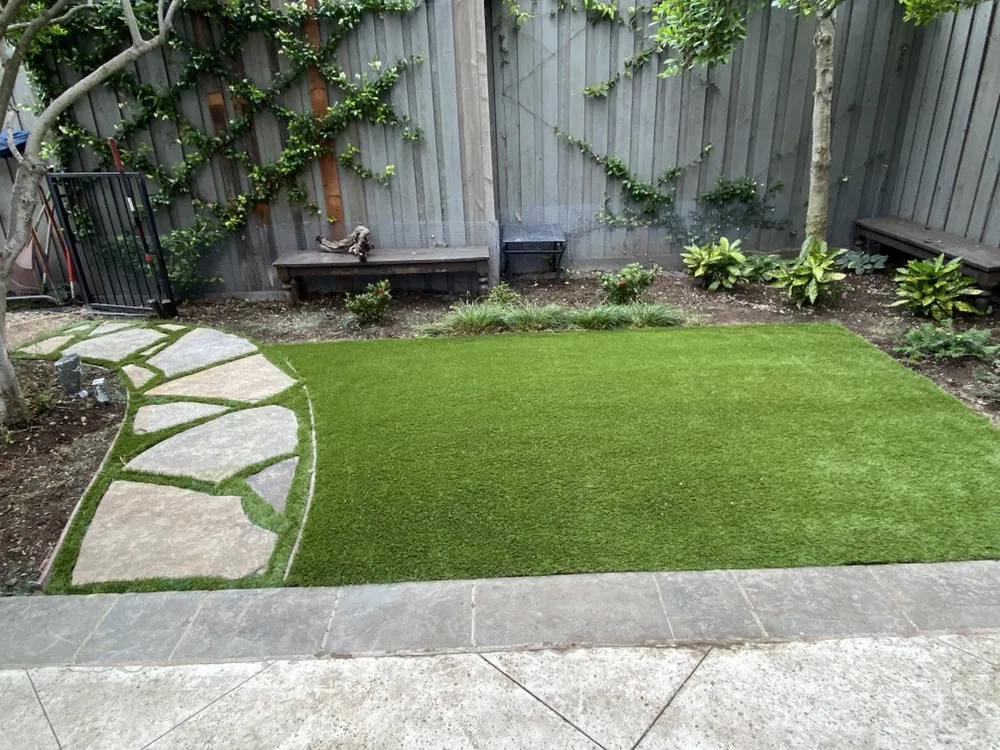 Professional landscape design for year-round maintenance across Dallas, TX - Sodgreen