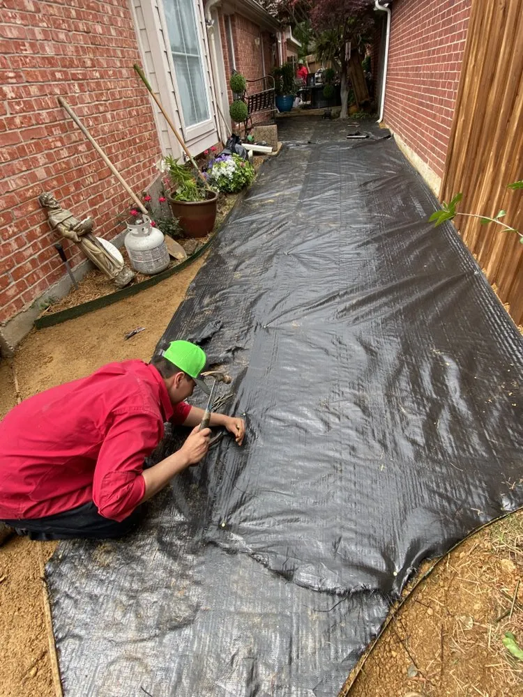 Custom yard maintenance experts serving Dallas, TX - Sodgreen