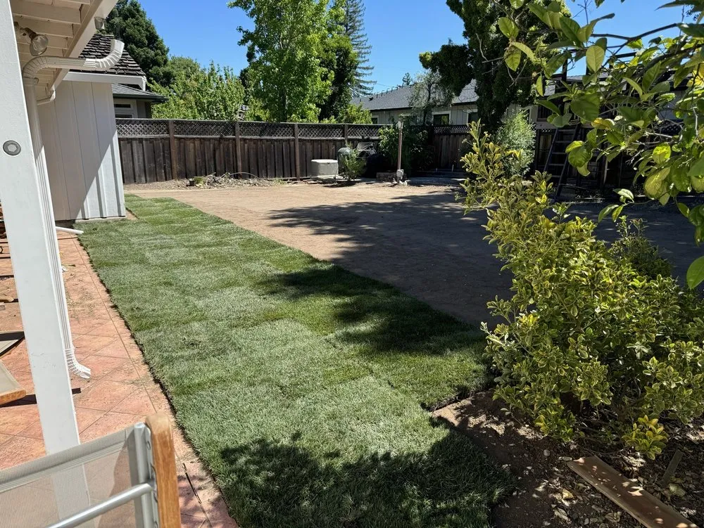 Expert garden landscaping in Sacramento, CA - SodLawn