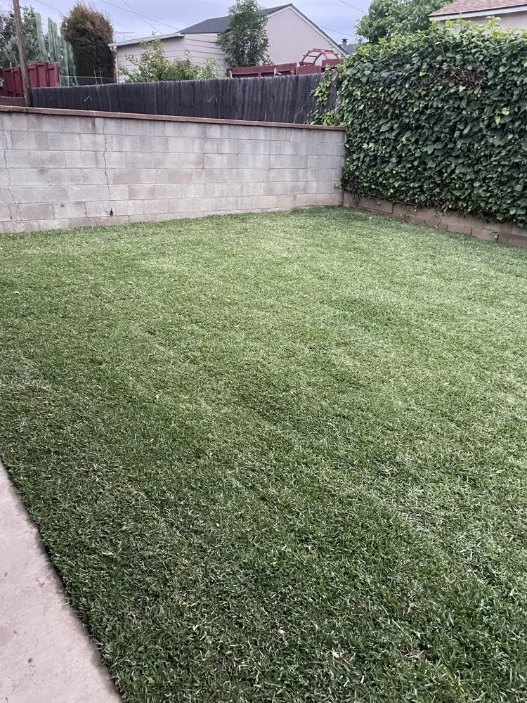 Reliable lawn care service in Sacramento, CA - SodLawn