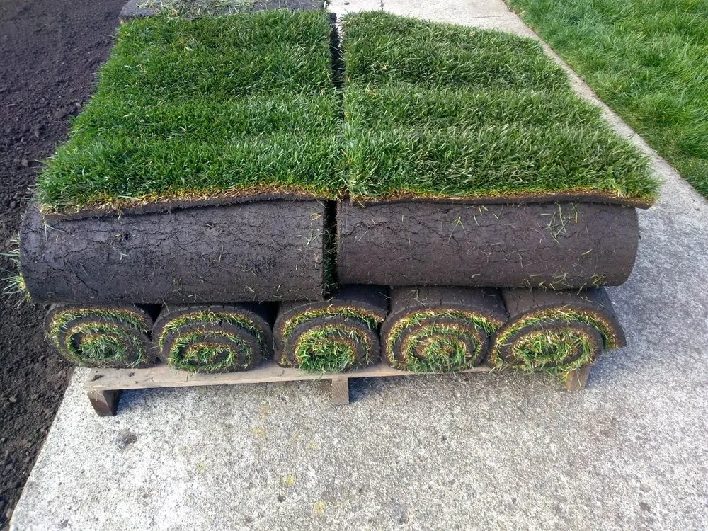 Affordable lawn mowing service experts serving Sacramento, CA - SodLawn