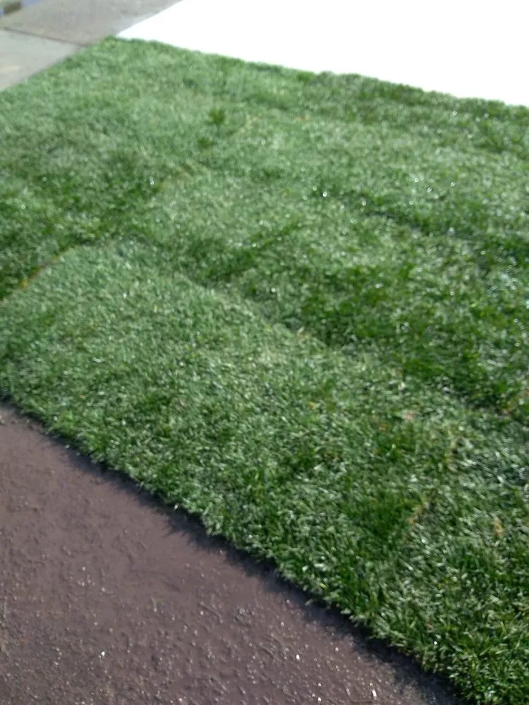 Local outdoor landscaping experts serving Sacramento, CA - SodLawn