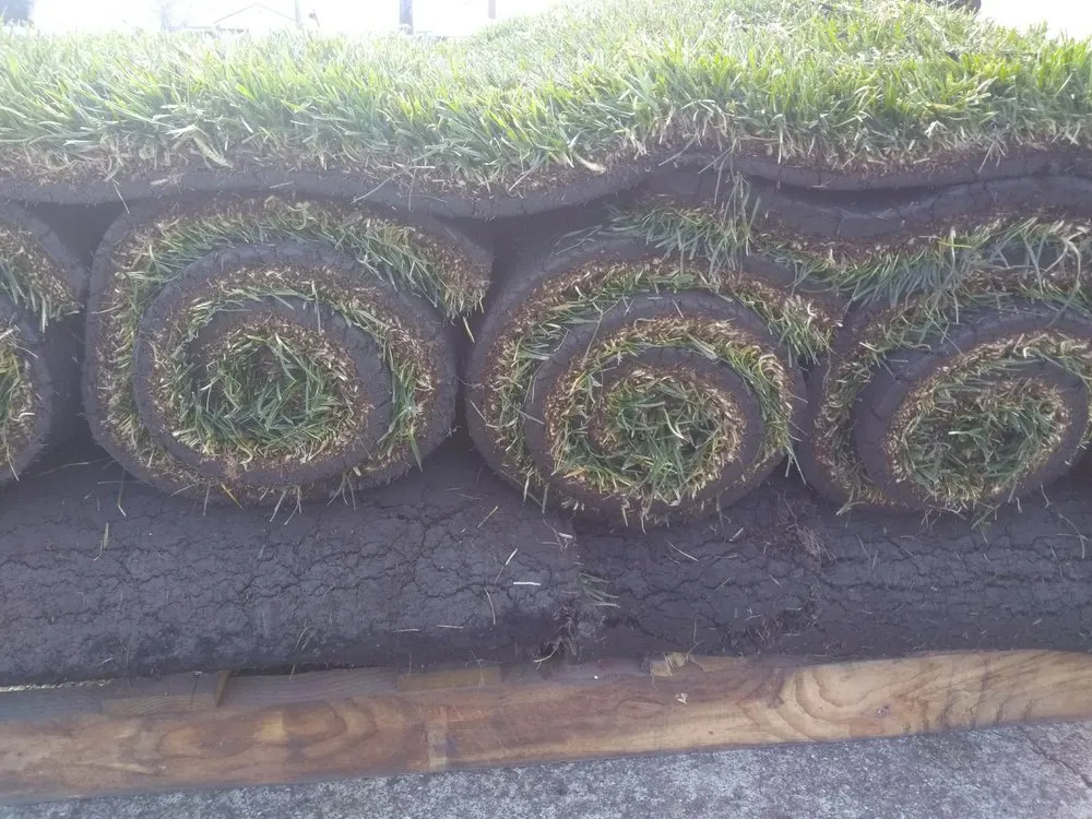 Local yard maintenance near you across Sacramento, CA - SodLawn