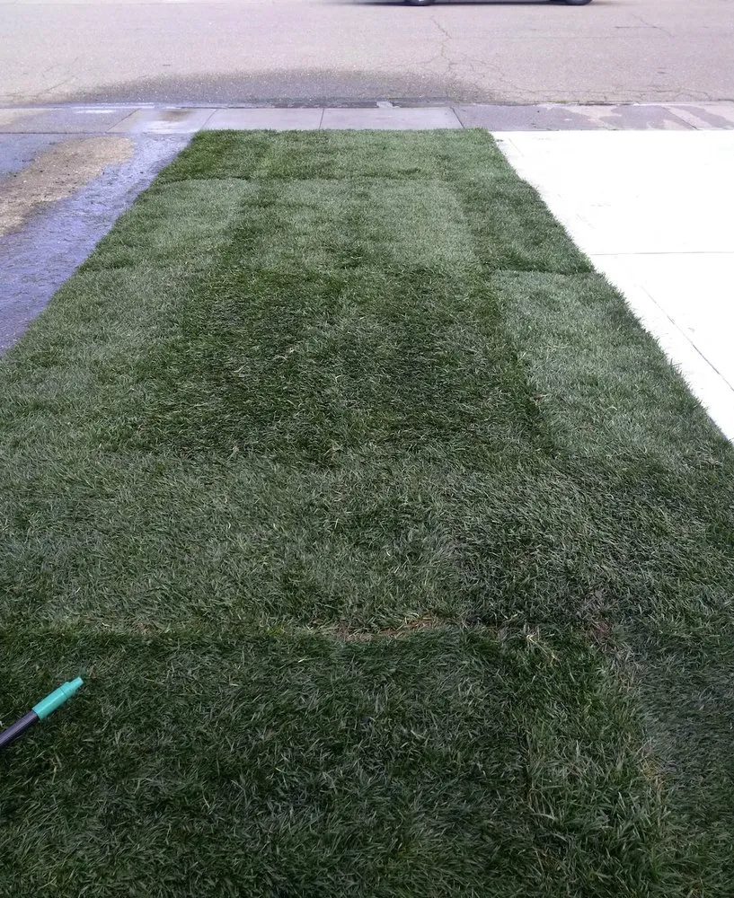 Trusted yard cleanup service for residential properties in Sacramento, CA by SodLawn