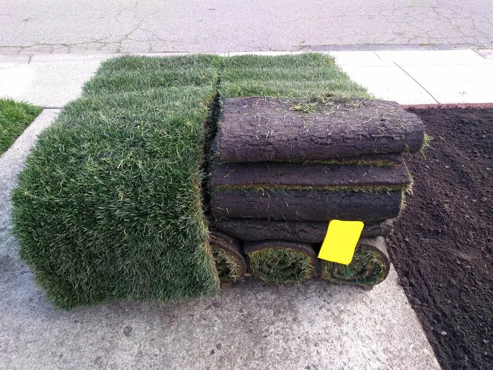 Affordable residential landscaping in Sacramento, CA by SodLawn