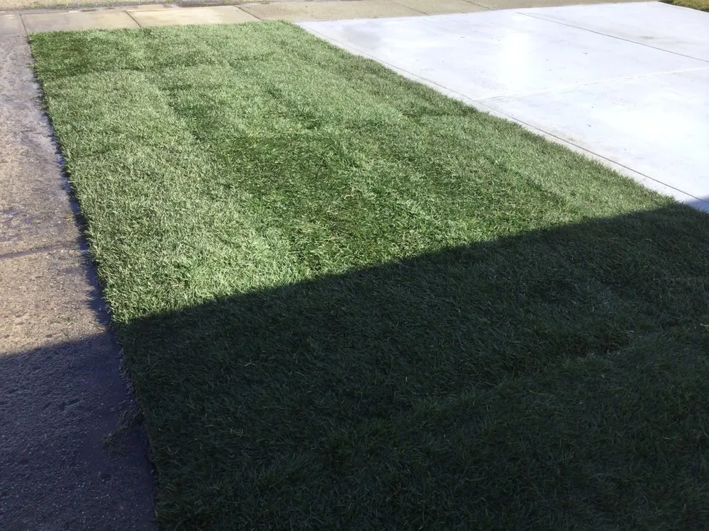 Top-rated lawn mowing service experts serving Sacramento, CA - SodLawn