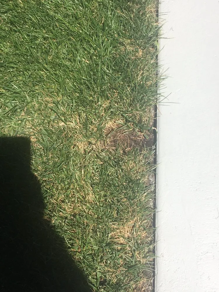 Reliable landscaping services experts serving Sacramento, CA - SodLawn