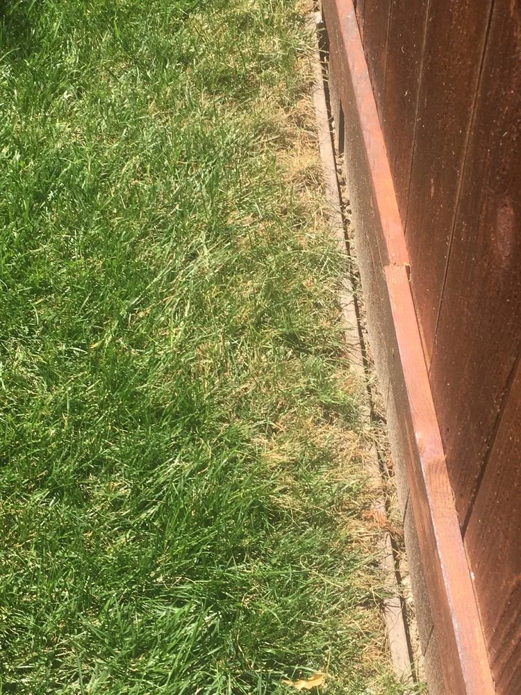 Local garden landscaping experts serving Sacramento, CA - SodLawn