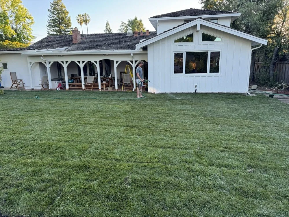 Local residential landscaping in Sacramento, CA - SodLawn