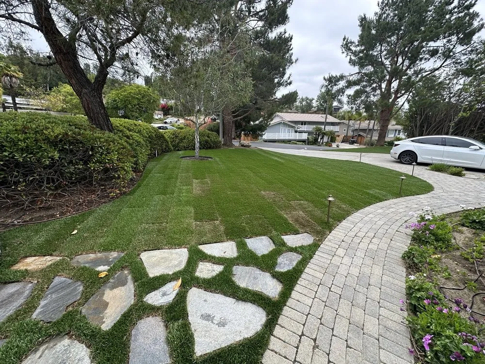 Professional lawn care service in Sacramento, CA - SodLawn