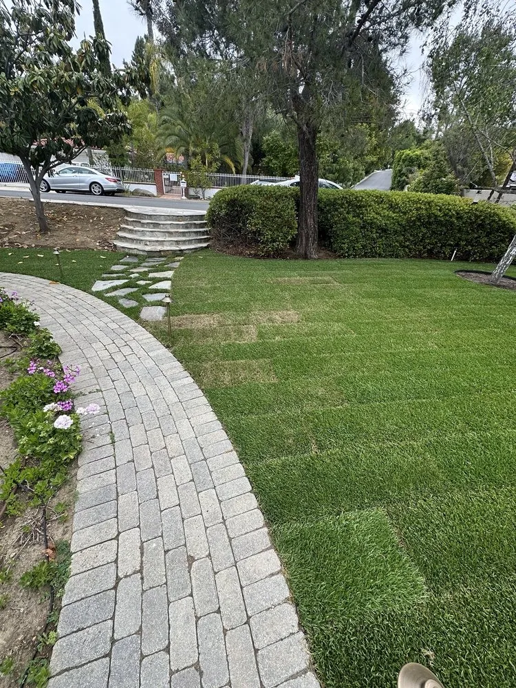 Reliable yard maintenance for homes across Sacramento, CA - SodLawn