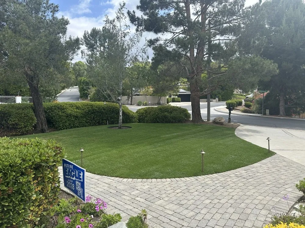 Affordable yard cleanup service in Sacramento, CA - SodLawn