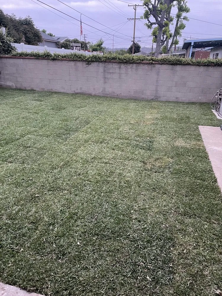 Trusted landscaping services in Sacramento, CA by SodLawn