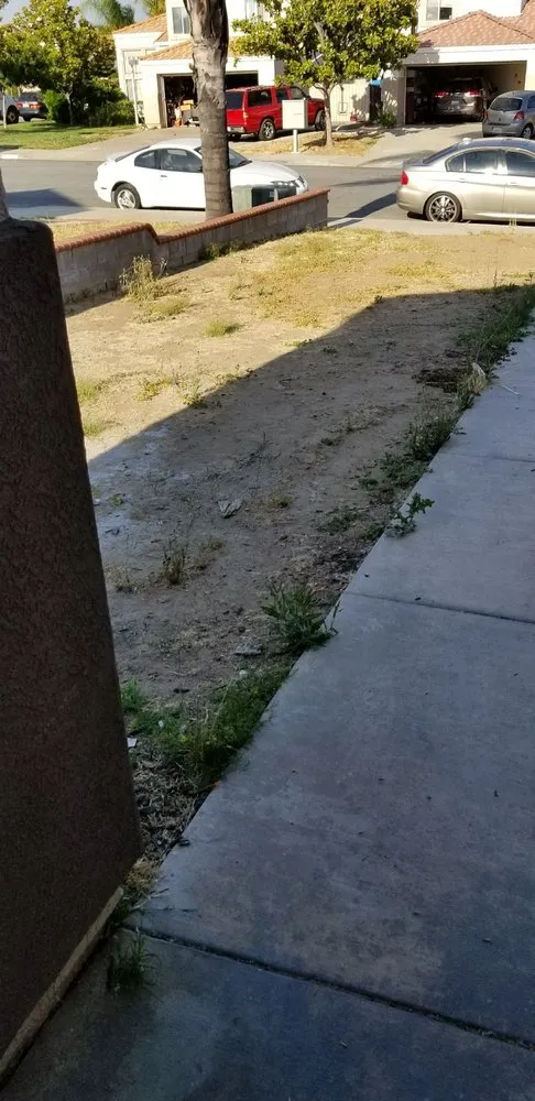 Affordable residential landscaping in Moreno Valley, CA - Sodman