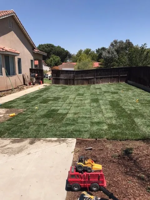 Affordable yard maintenance for residential properties in Moreno Valley, CA by Sodman
