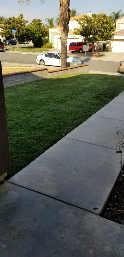 Reliable landscape design in Moreno Valley, CA - Sodman