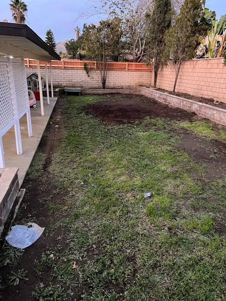 Professional landscape design in Moreno Valley, CA by Sodman