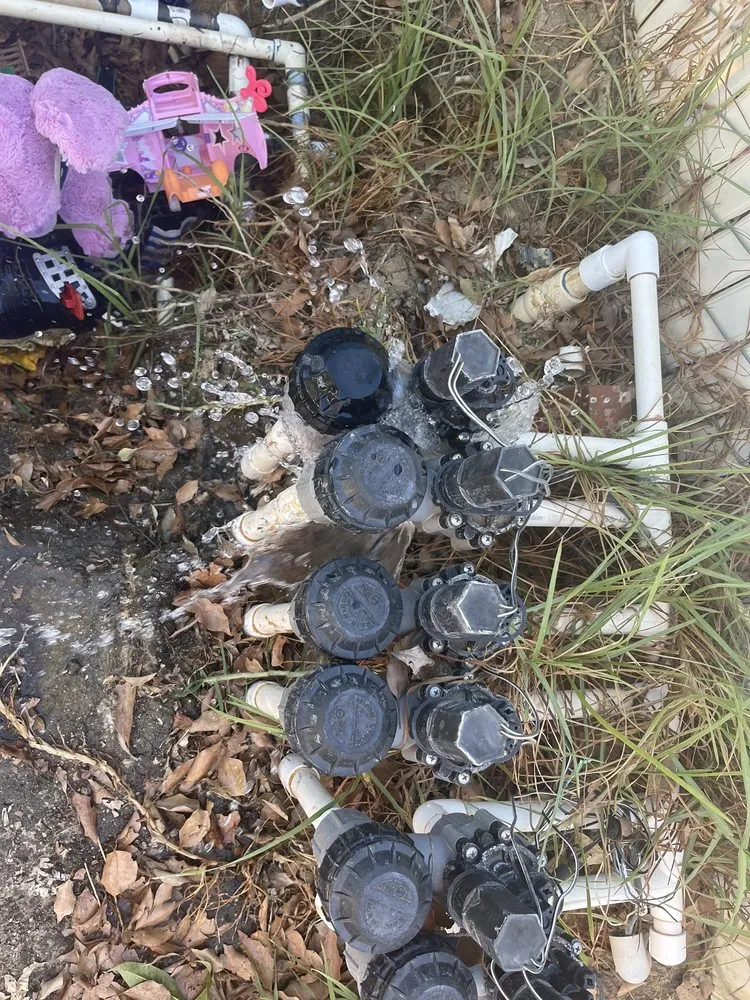 Local lawn mowing service near you across Moreno Valley, CA - Sodman