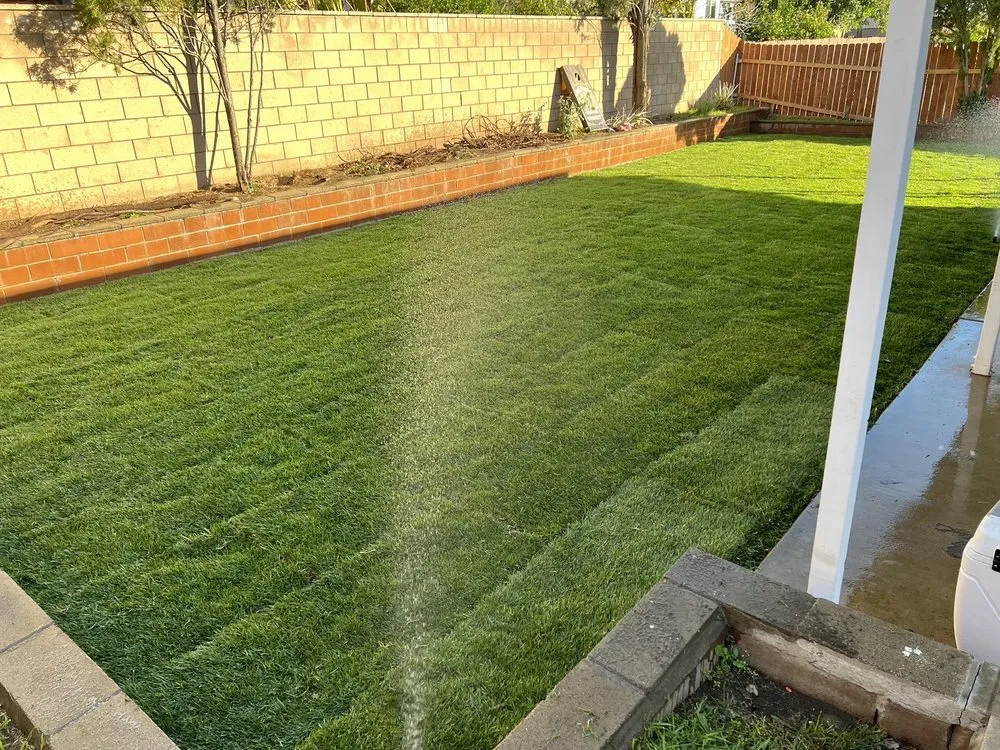 Expert lawn mowing service in Moreno Valley, CA by Sodman